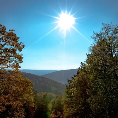 Stiefelburg Der Berghof 酒店 Nauendorf (Weimarer)